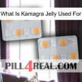 What Is Kamagra Jelly Used For 25